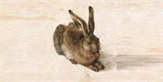 Albrecht Dürer, aclamado artista renascentista, é tema de aula aberta promovida pela Fundação Cultural BADESC